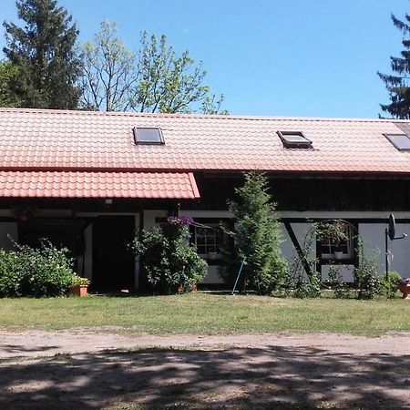 Smołdzino Agroturystyka Pod Debami W Klukach מראה חיצוני תמונה
