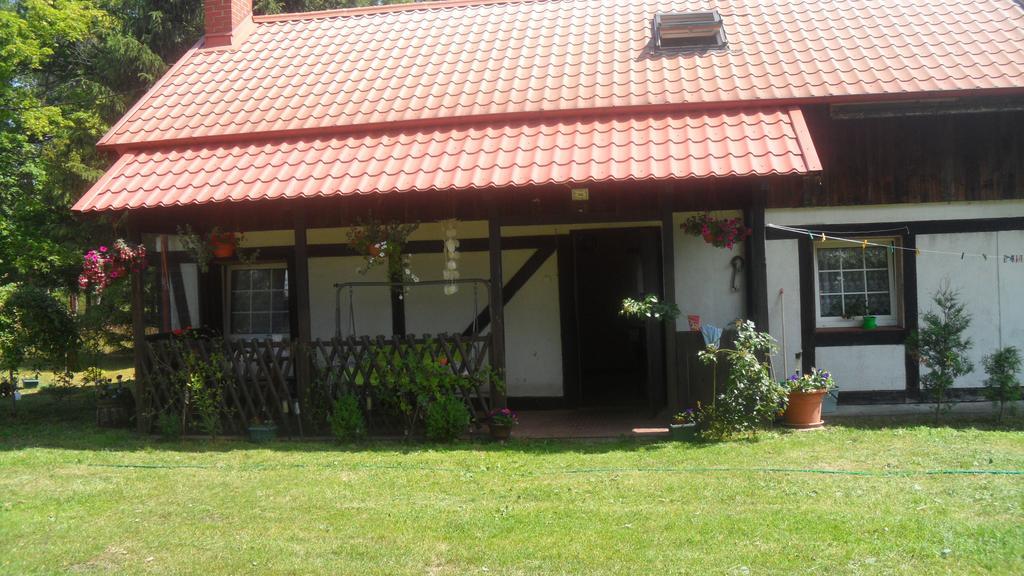 Smołdzino Agroturystyka Pod Debami W Klukach מראה חיצוני תמונה