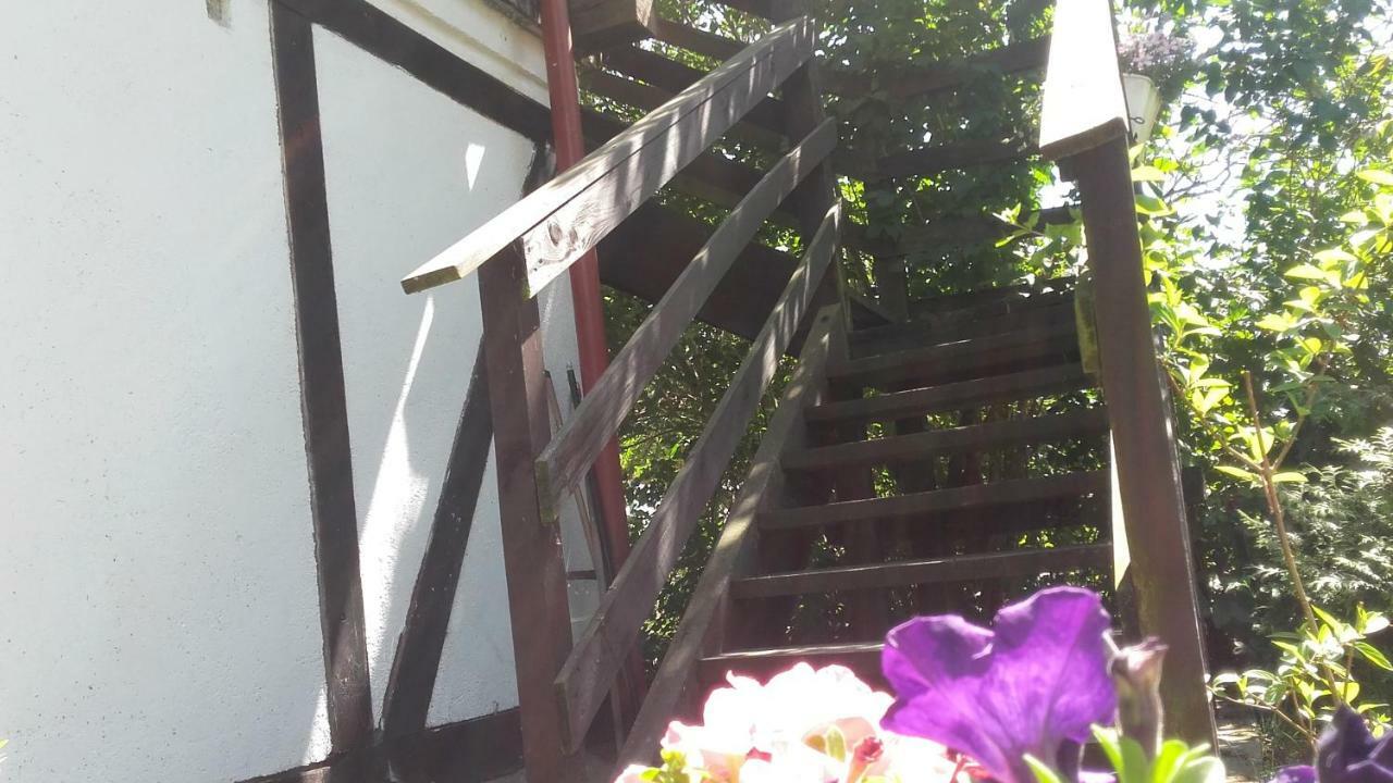 Smołdzino Agroturystyka Pod Debami W Klukach מראה חיצוני תמונה