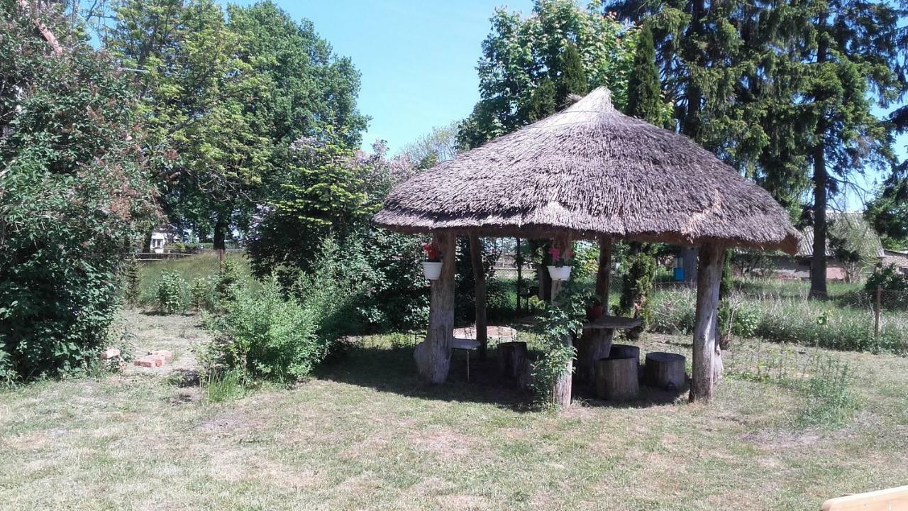 Smołdzino Agroturystyka Pod Debami W Klukach מראה חיצוני תמונה